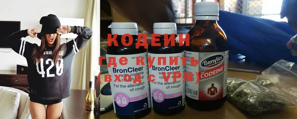 индика Киренск