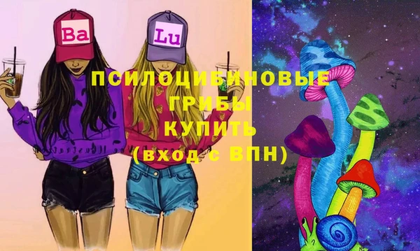 индика Киренск