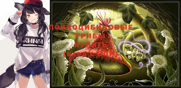 индика Киренск