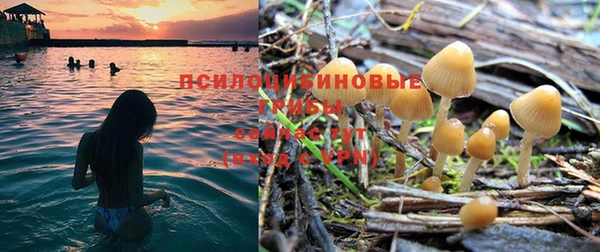 индика Киренск
