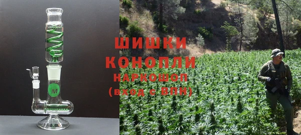 ГАЛЛЮЦИНОГЕННЫЕ ГРИБЫ Карталы