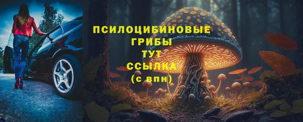 ГАЛЛЮЦИНОГЕННЫЕ ГРИБЫ Карталы