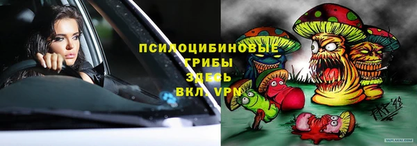 ГАЛЛЮЦИНОГЕННЫЕ ГРИБЫ Касимов