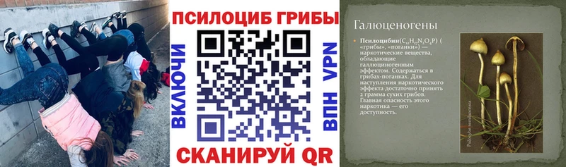 Псилоцибиновые грибы Psilocybine cubensis  Котельники 